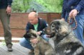 /album/budakeszi-vadaspark-a-fold-vilagnapja-alkalmabol-torteno-meghivasa-a-nagyragadozok-es-pasztorkutyak-forumnak-2014-aprilis-fotok-izabella-tandecki-/img-032-jpg/